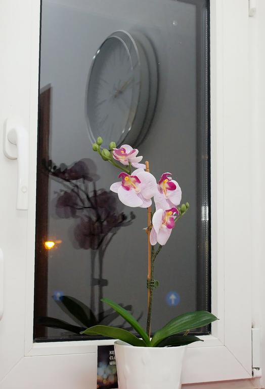 דירות בוקרשט Fancy 1Bd Family Friendly In Historical Centre מראה חיצוני תמונה